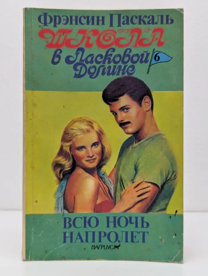 Школа в Ласковой Долине (книга 6) - Всю ночь напролёт