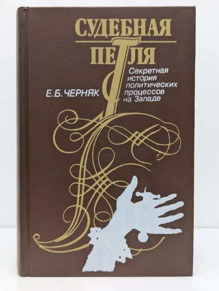 Судебная петля. Секретная история политических процессов на Западе