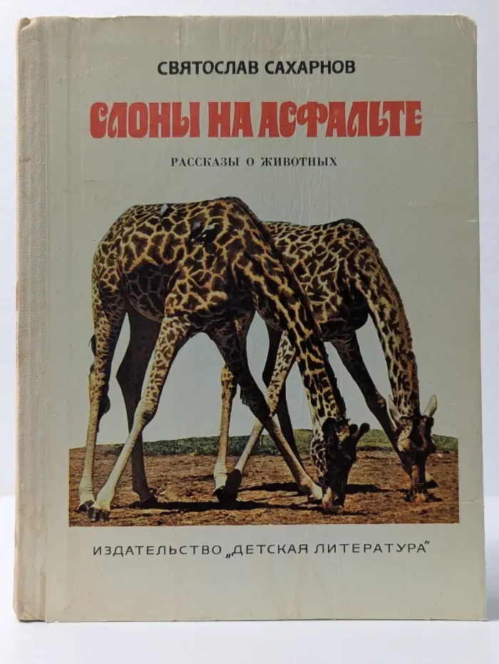 Слоны на асфальте