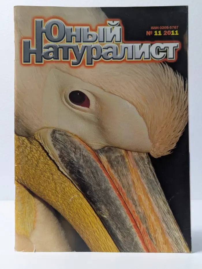 Юный натуралист. Выпуск № 11/2011