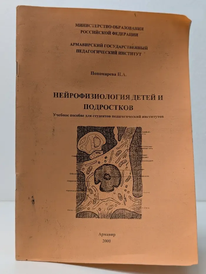 Нейрофизиология детей и подростков