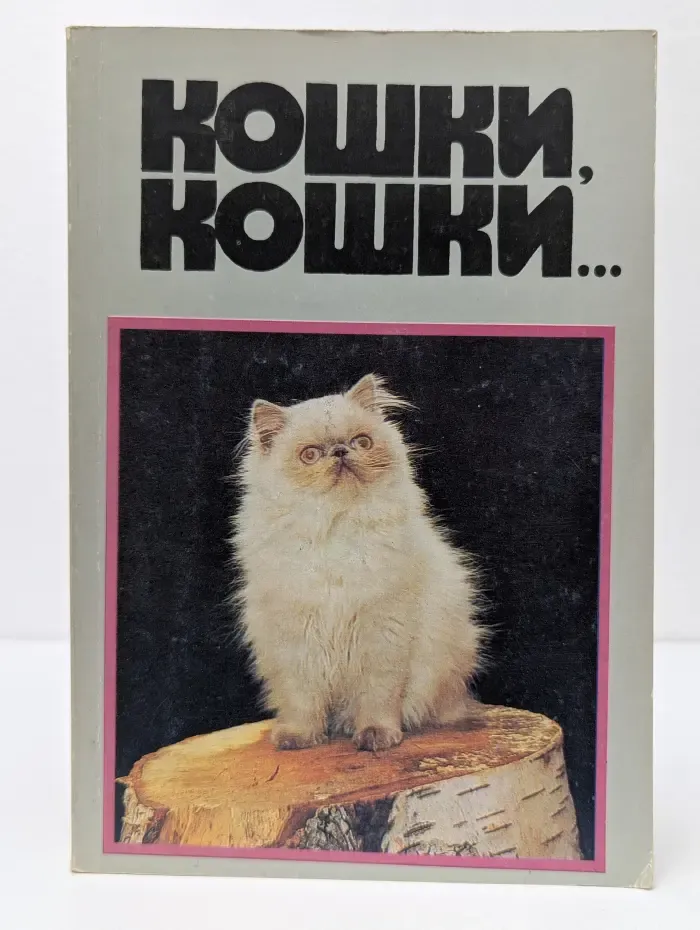Кошки, кошки...