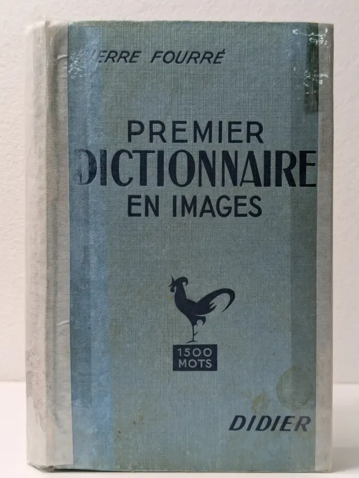 Premier dictionnaire en images. Первый словарь в картинках
