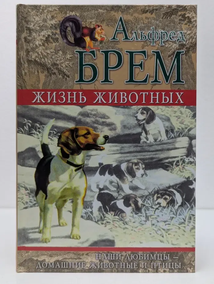 Жизнь животных. Наши любимцы – Домашние животные и птицы