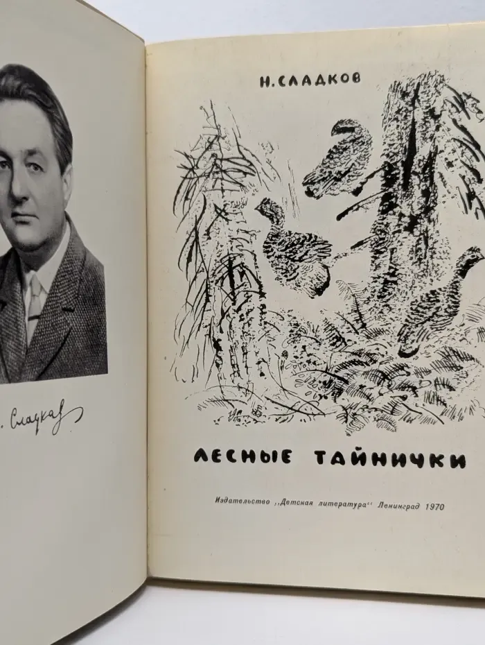 Лесные тайнички