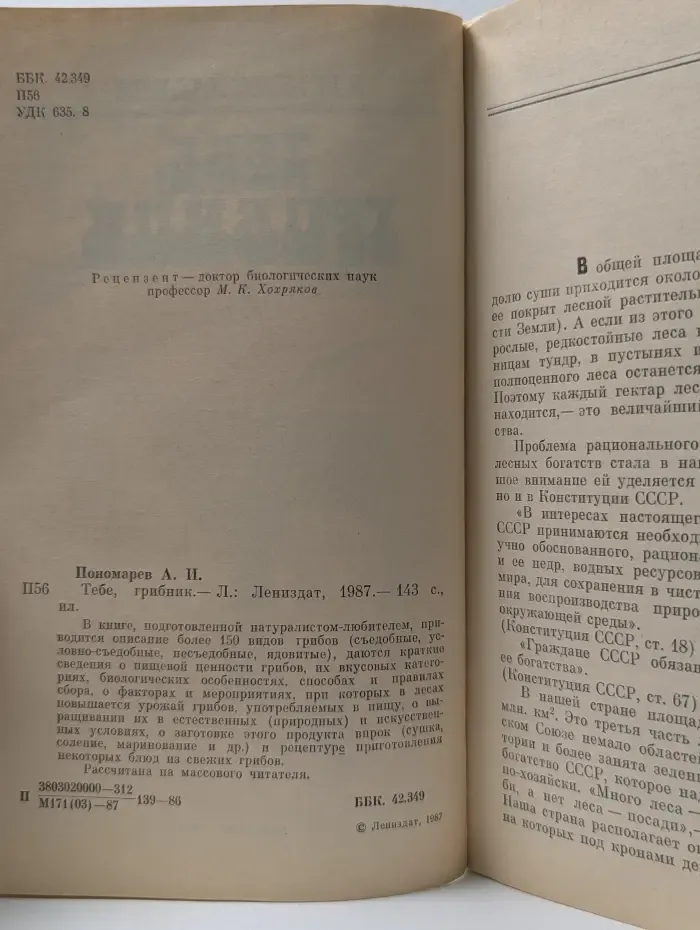 Тебе, грибник