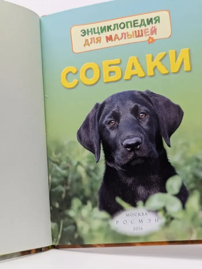 Энциклопедия для малышей. Собаки