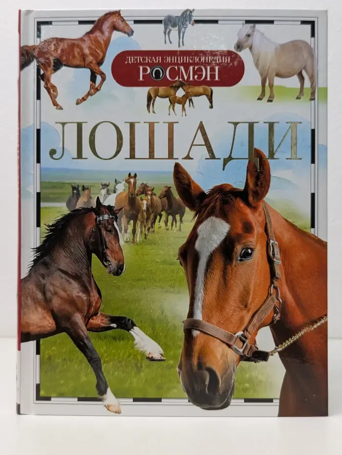 Лошади