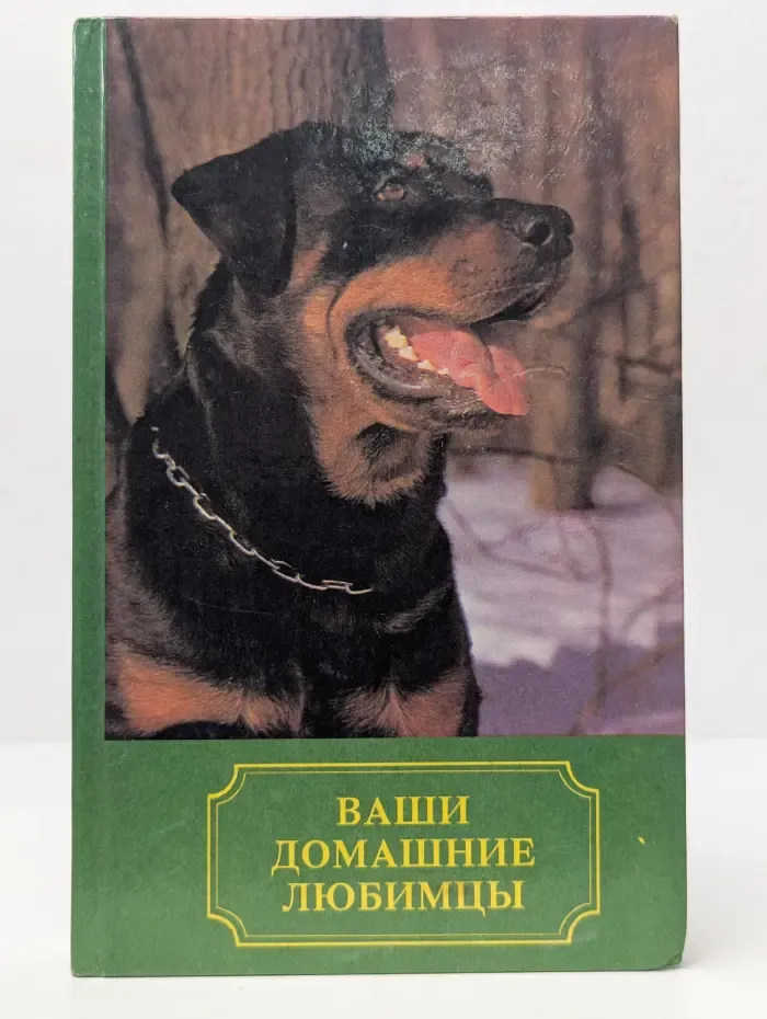 Ваши домашние любимцы