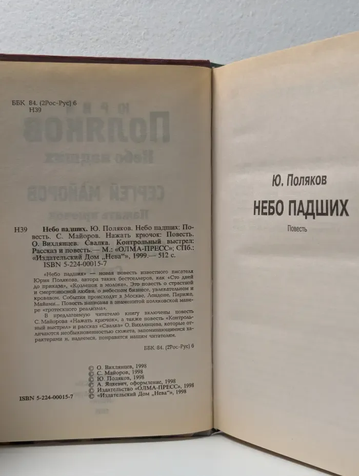 Небо падших
