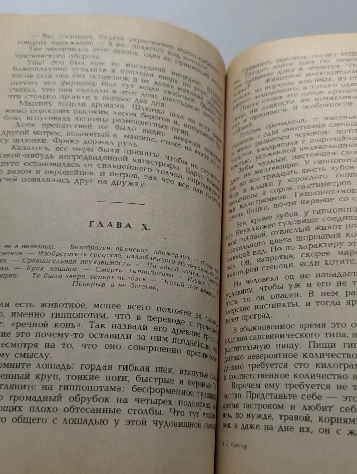 Приключения в стране львов