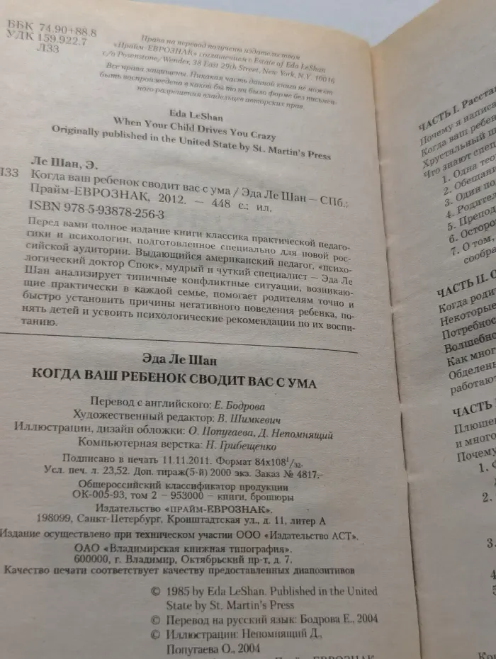 Когда ваш ребенок сводит вас с ума