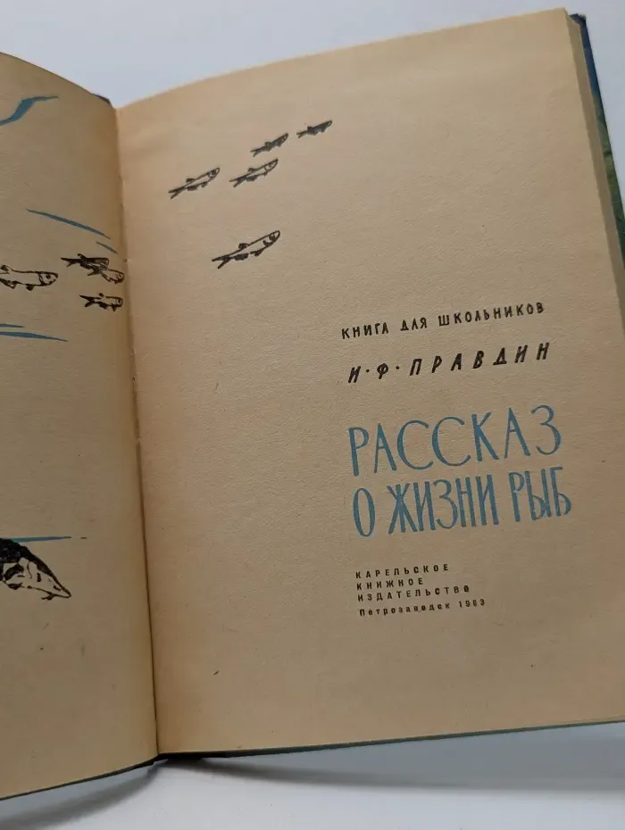 Рассказ о жизни рыб