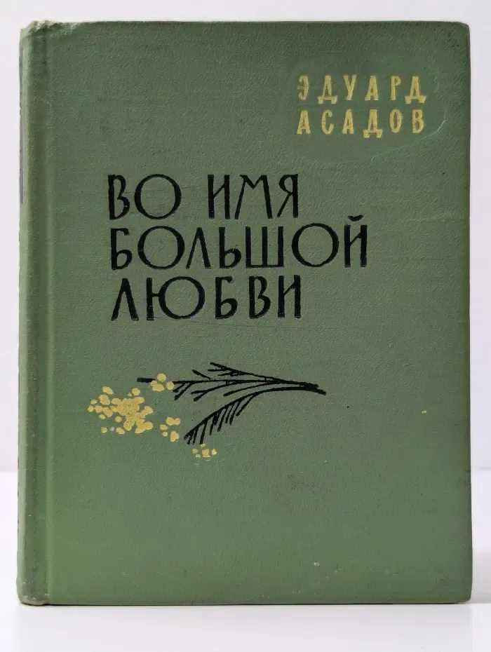 Во имя большой любви