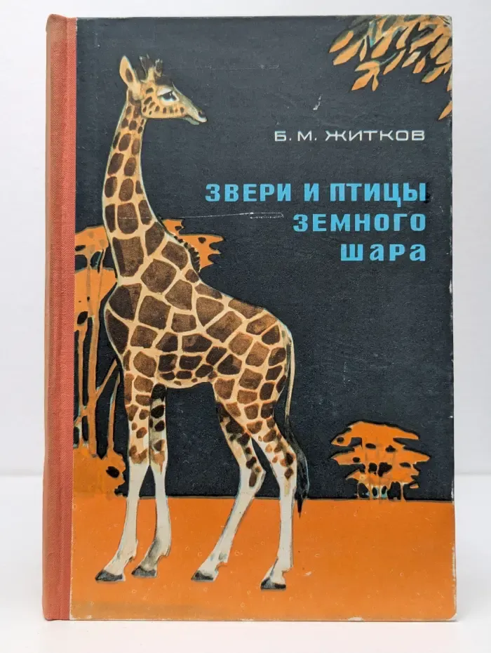 Звери и птицы земного шара