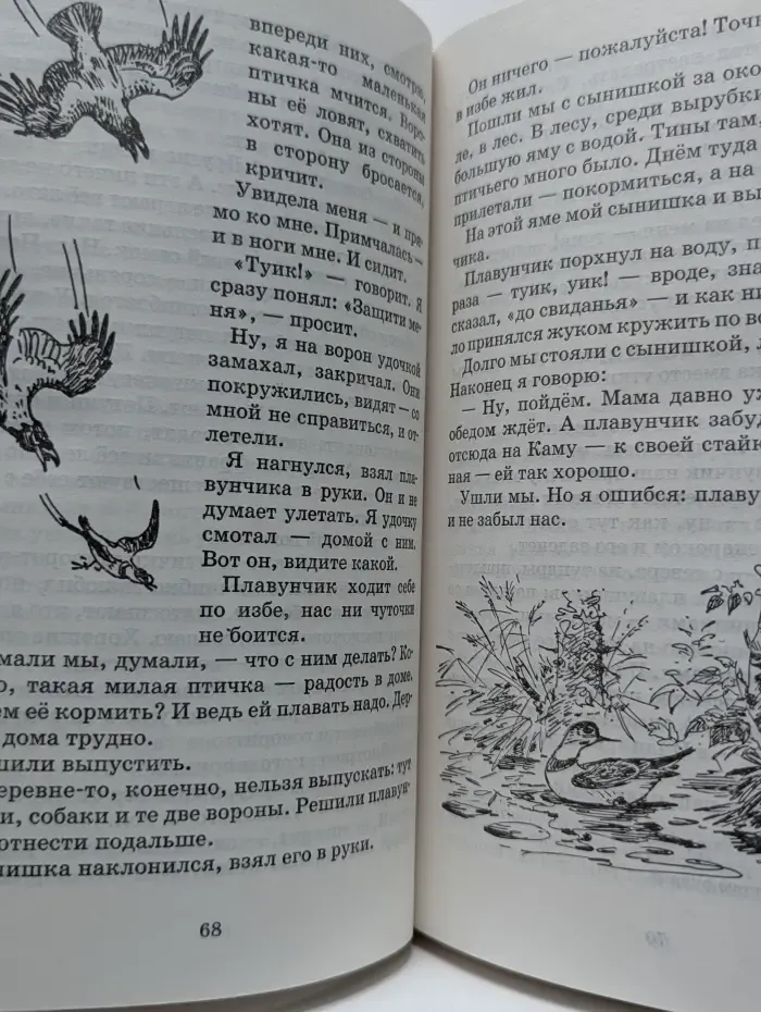 Школьная библиотека. Чей нос лучше?