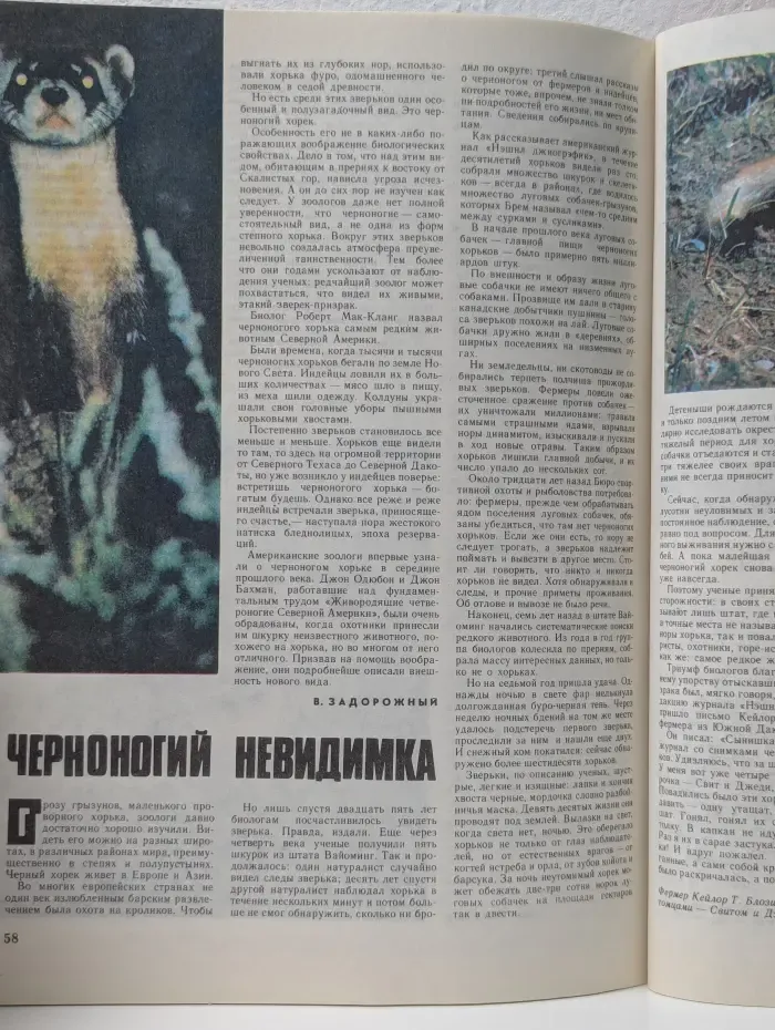 Вокруг света. Выпуск № 8/1984