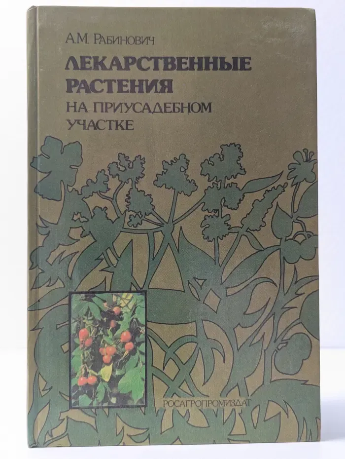 Лекарственные растения на приусадебном участке