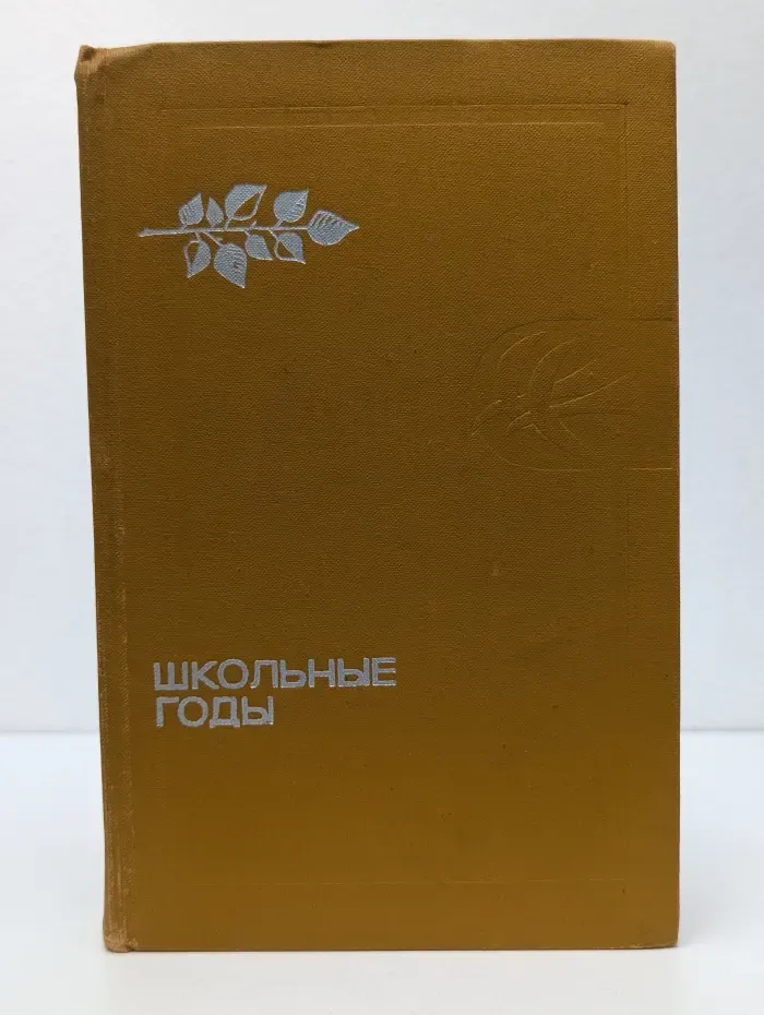 Тебе в дорогу, романтика. Школьные годы
