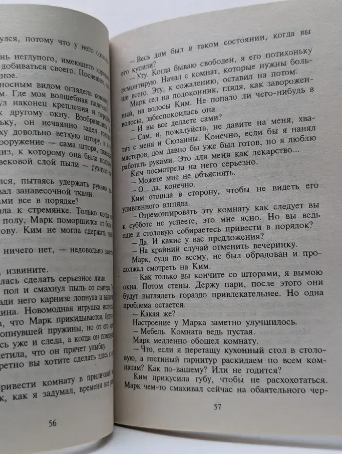 Любовный роман. Временное пристанище