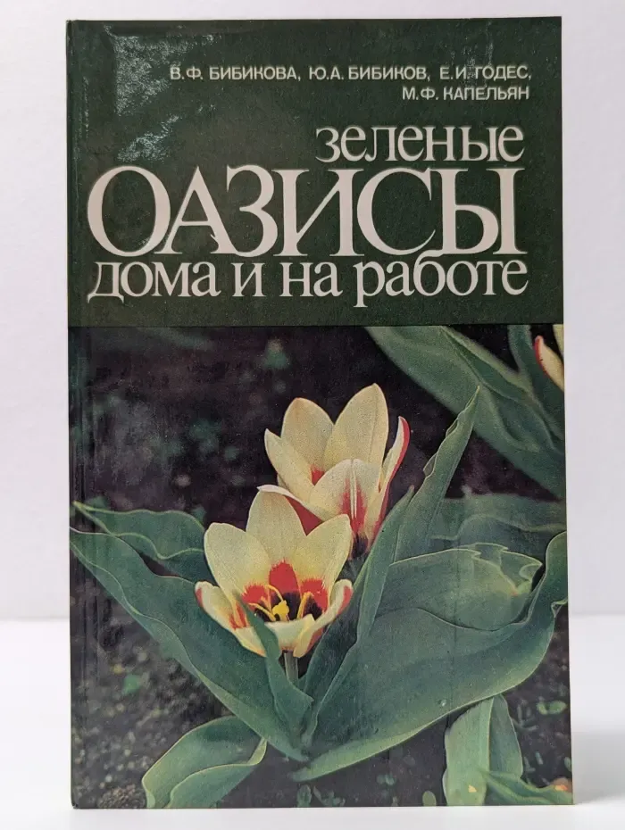Зеленые оазисы дома и на работе