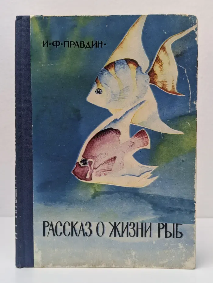 Рассказ о жизни рыб