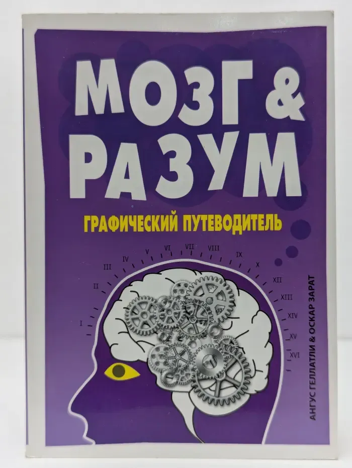 Графические путеводители. Мозг и Разум. Графический путеводитель