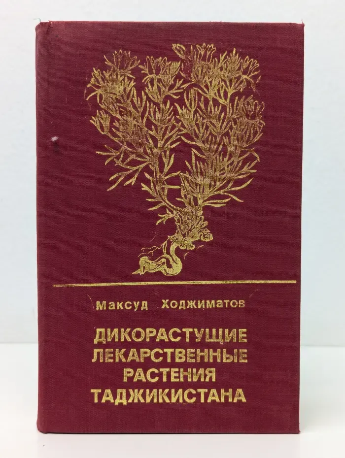 Дикорастущие лекарственные растения Таджикистана