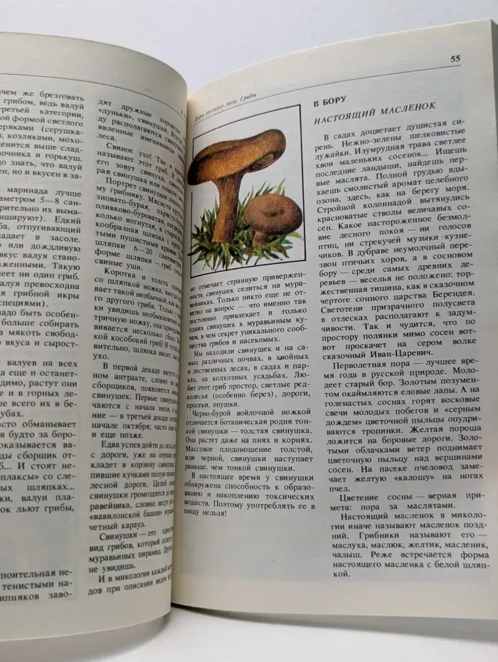 Дары русского леса