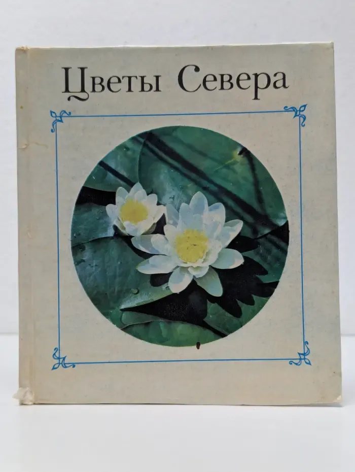 Цветы Севера