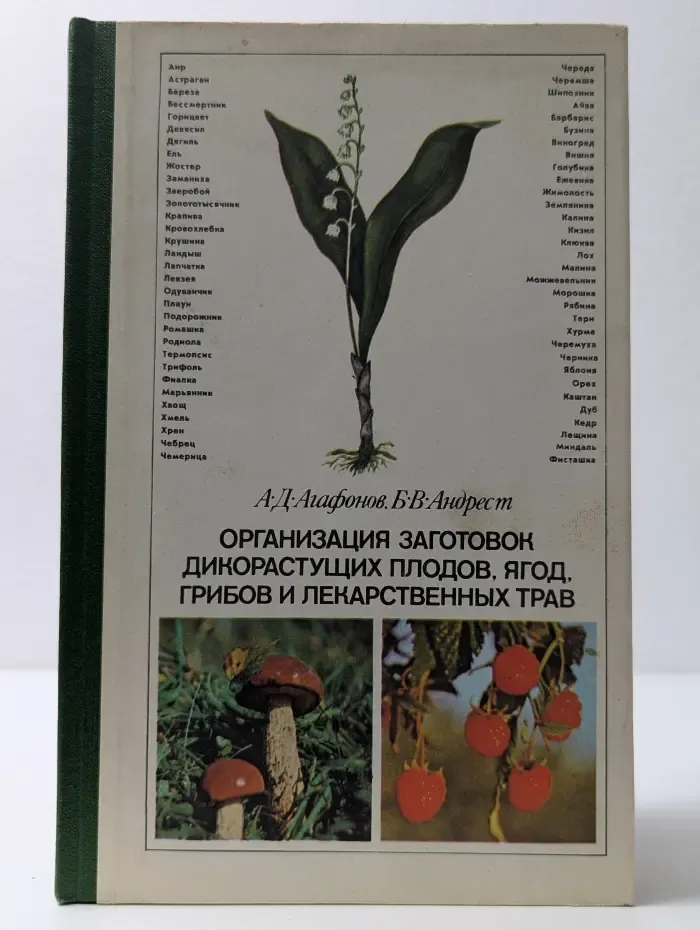 Организация заготовок дикорастущих плодов, ягод, грибов и лекарственных трав