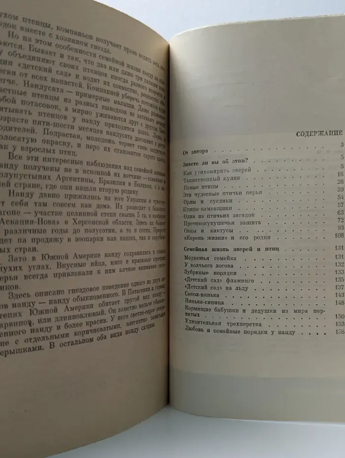 Человек и окружающая среда. В мире живой природы