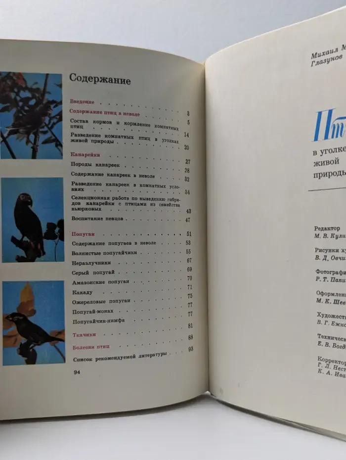 Птицы в уголке живой природы