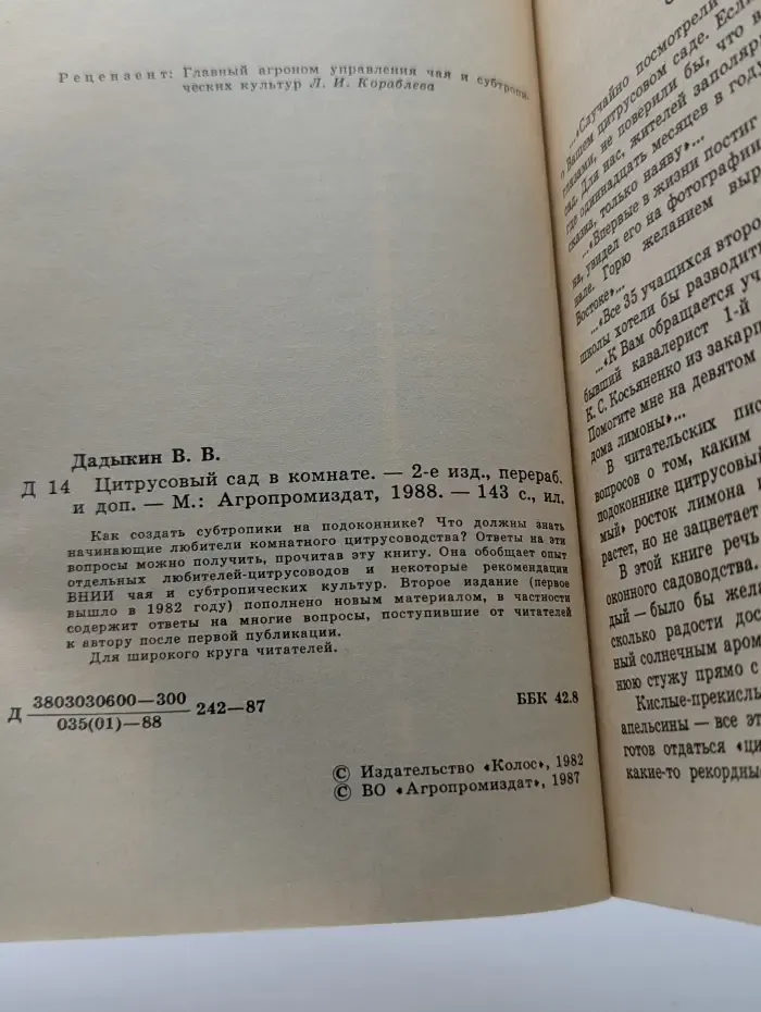 Цитрусовый сад в комнате