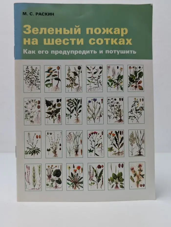 Зеленый пожар на шести сотках. Как его предупредить и потушить