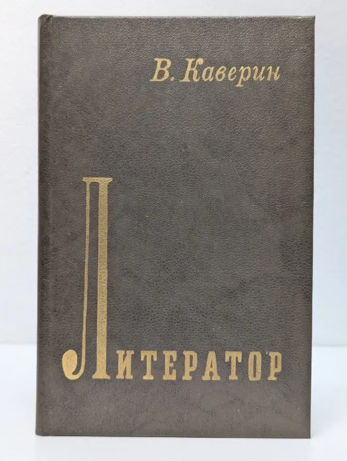 Литератор. Дневники и письма