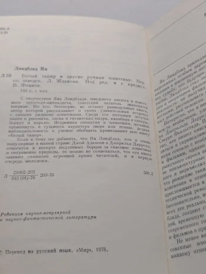 Белый тапир и другие ручные животные