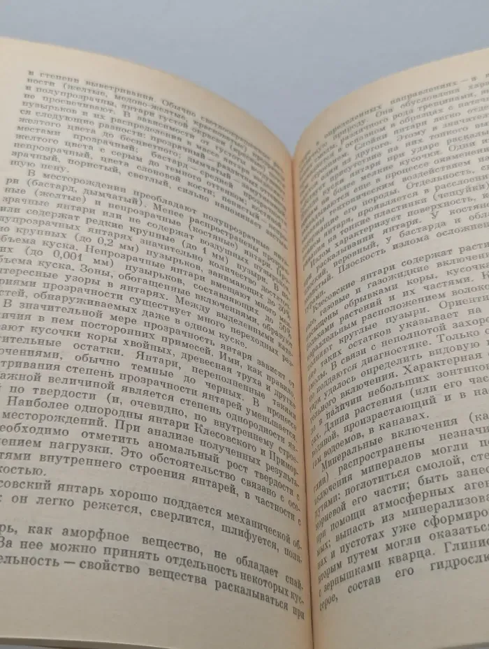 Человек и окружающая среда. Янтарь