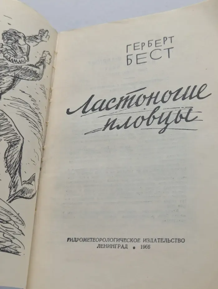 Ластоногие пловцы