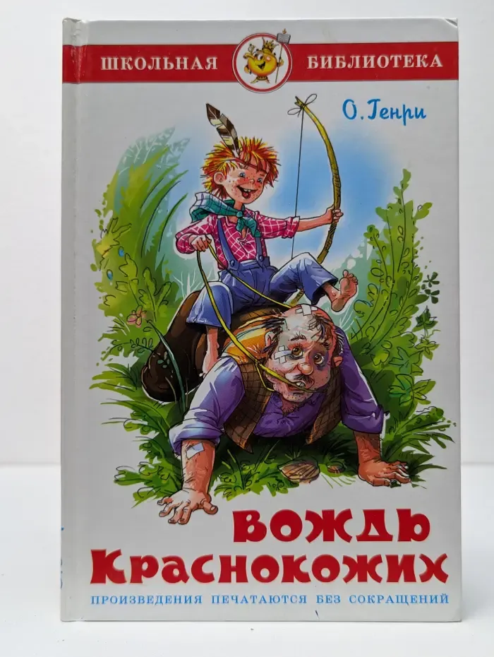 Школьная библиотека. Вождь краснокожих