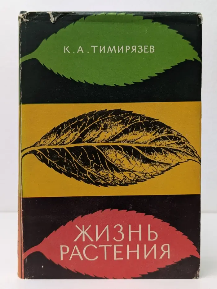 Жизнь растения