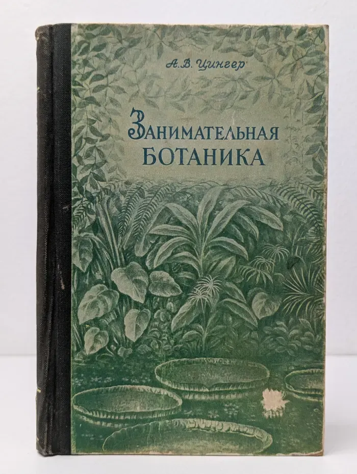 Занимательная ботаника