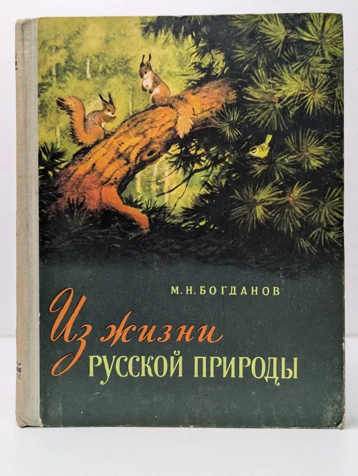 Из жизни русской природы