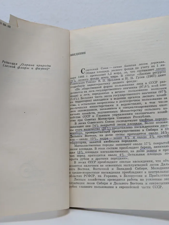 Лесные охотничьи угодья