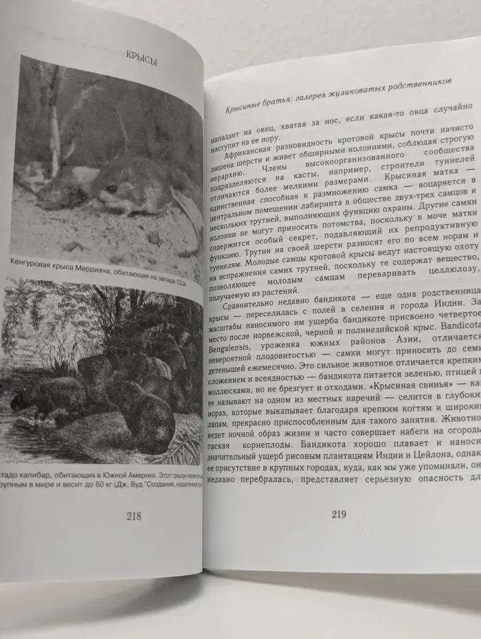 Живущие вместе. Хитрее человека. Исчерпывающая история крысы и человеческая цивилизация