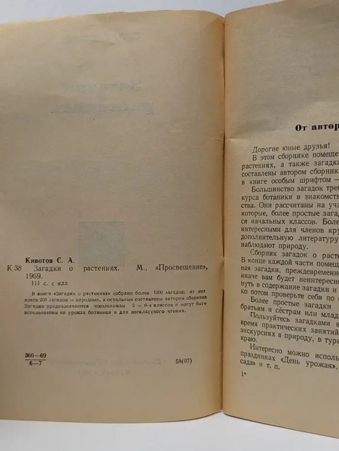 Загадки о растениях