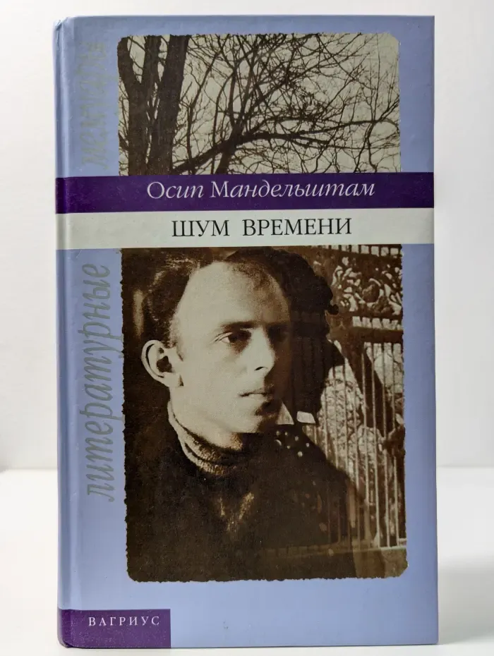 Литературные мемуары. Шум времени