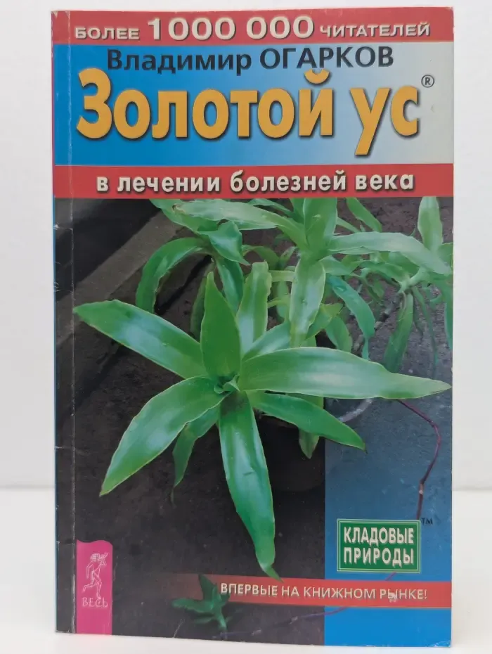 Золотой ус в лечении болезней века