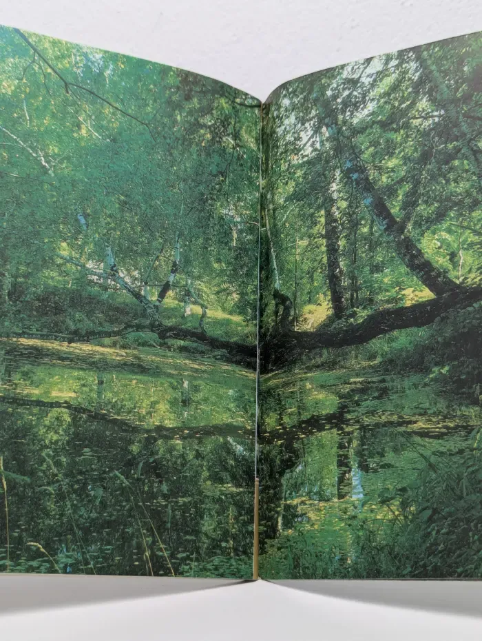 Абрамцево