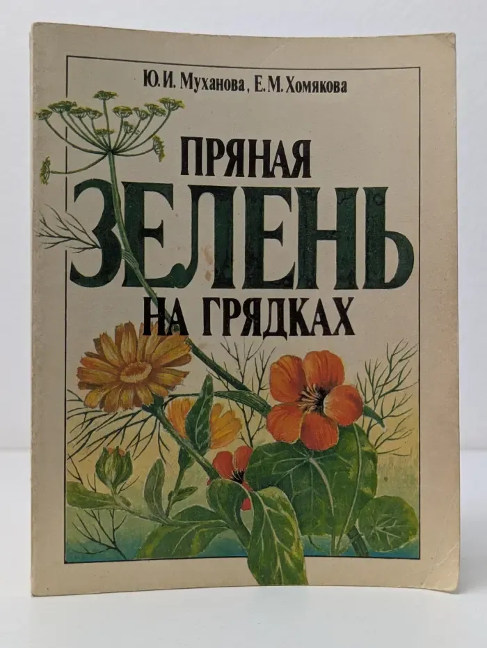 Пряная зелень на грядках